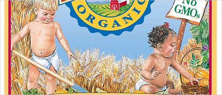 Best infant cereal organic